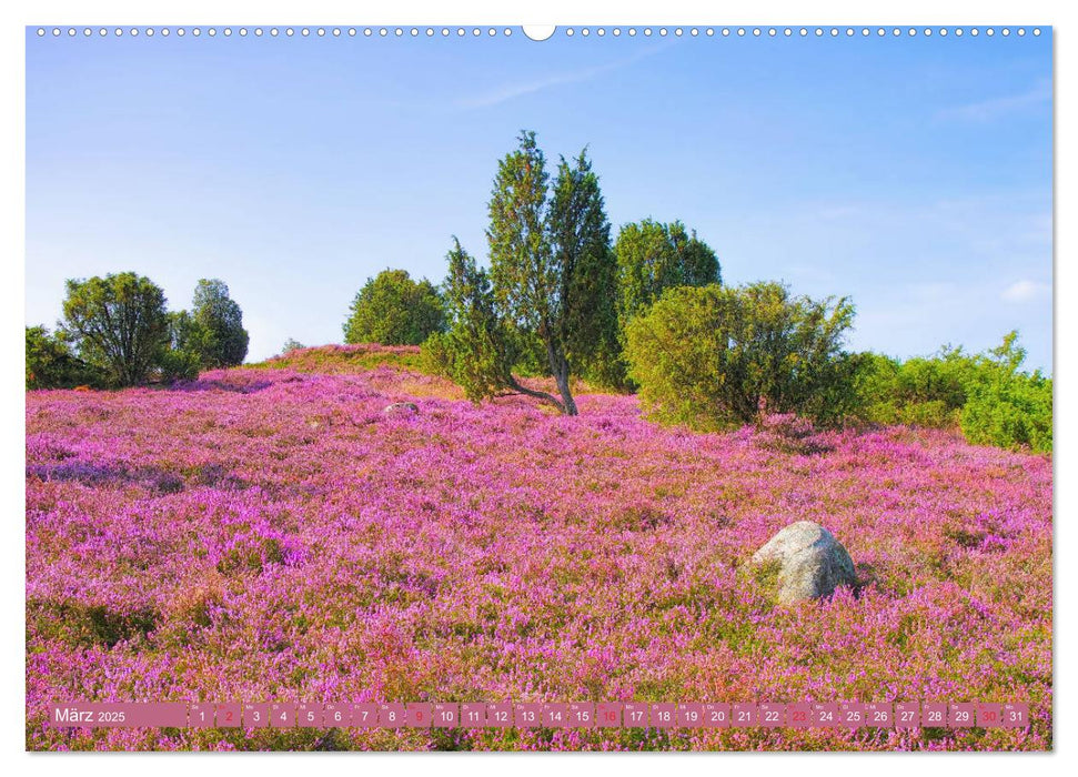 Lüneburger Heide - Wanderung rund um Wilsede und Totengrund (CALVENDO Wandkalender 2025)