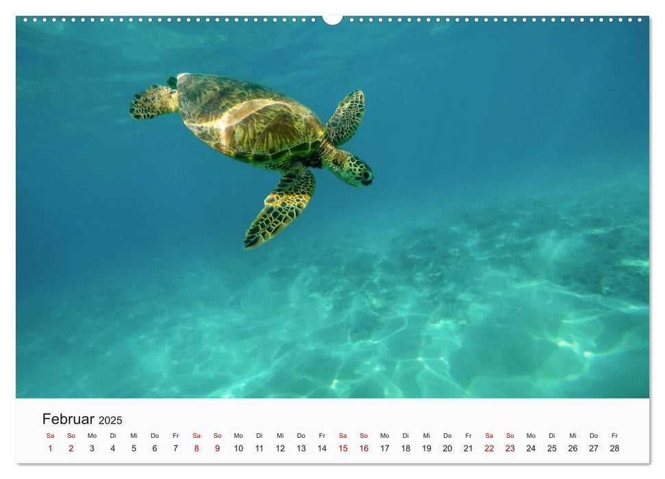 Hawaii - Sommer, Sonne, Urlaub (CALVENDO Premium Wandkalender 2025)