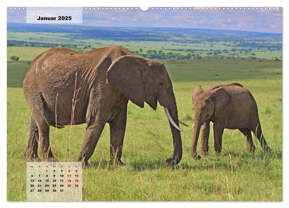 Kenia - Die Tiere der Savanne (CALVENDO Premium Wandkalender 2025)