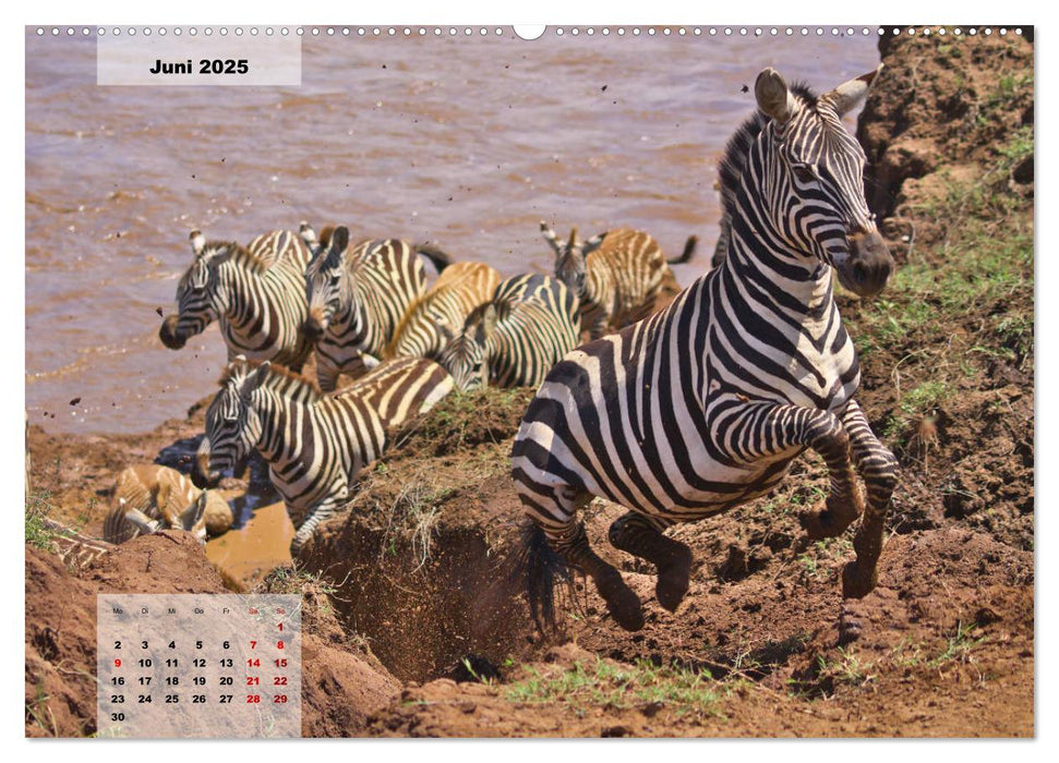 Kenia - Die Tiere der Savanne (CALVENDO Premium Wandkalender 2025)