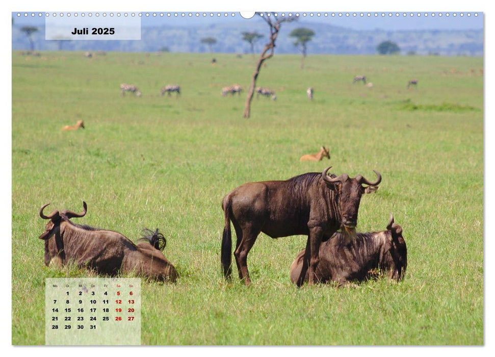 Kenia - Die Tiere der Savanne (CALVENDO Premium Wandkalender 2025)