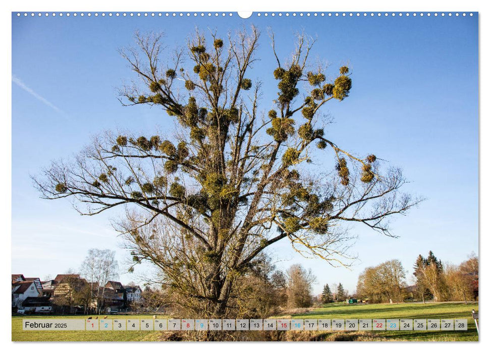 Ins Land der Franken fahren (CALVENDO Premium Wandkalender 2025)