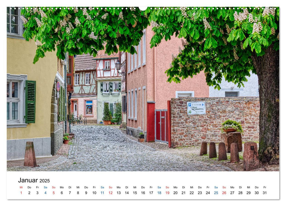 Ladenburg - Spätmittelalter am Neckar (CALVENDO Premium Wandkalender 2025)