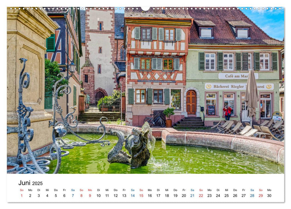 Ladenburg - Spätmittelalter am Neckar (CALVENDO Premium Wandkalender 2025)