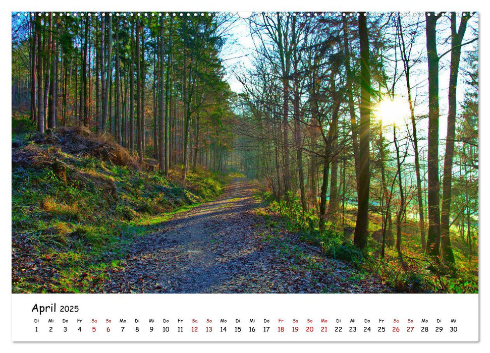 Hohenlohe - Zwischen Stadt und Land (CALVENDO Wandkalender 2025)