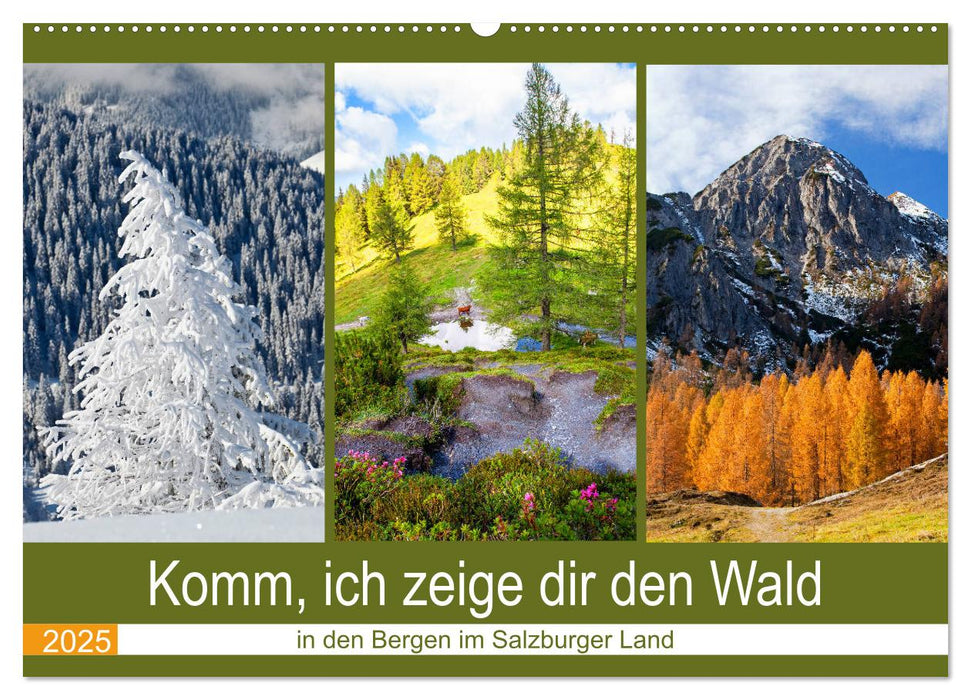 Komm, ich zeige dir den Wald (CALVENDO Wandkalender 2025)