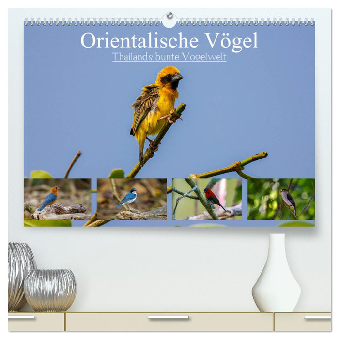 Orientalische Vögel - Thailands bunte Vogelwelt (CALVENDO Premium Wandkalender 2025)