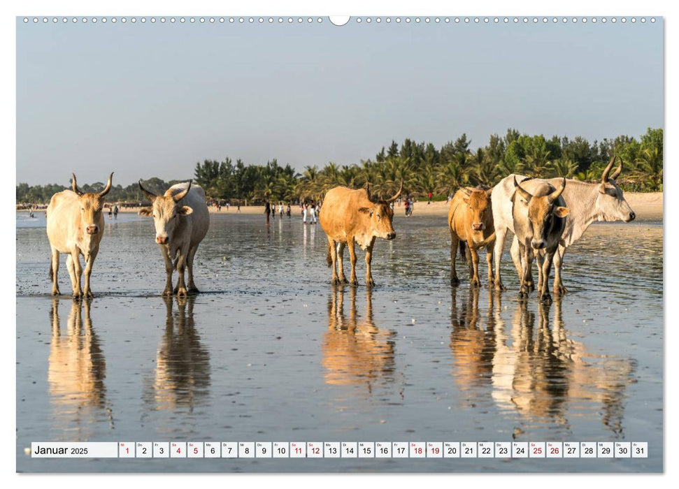 Westafrika - The Gambia (CALVENDO Wandkalender 2025)