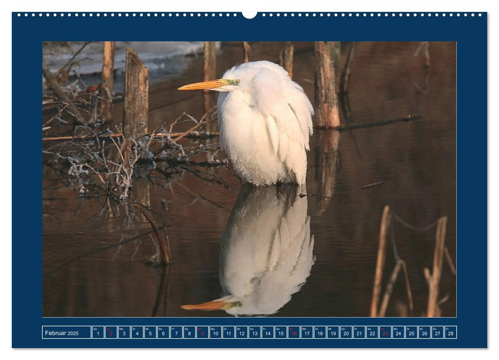 Spiegelungen in der Natur (CALVENDO Premium Wandkalender 2025)