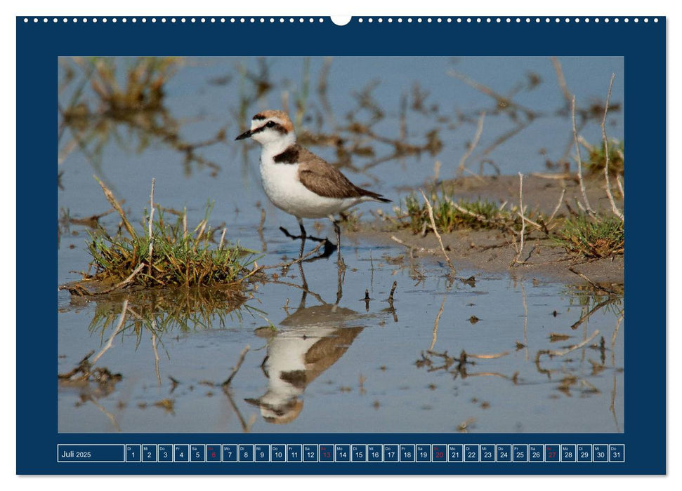 Spiegelungen in der Natur (CALVENDO Premium Wandkalender 2025)