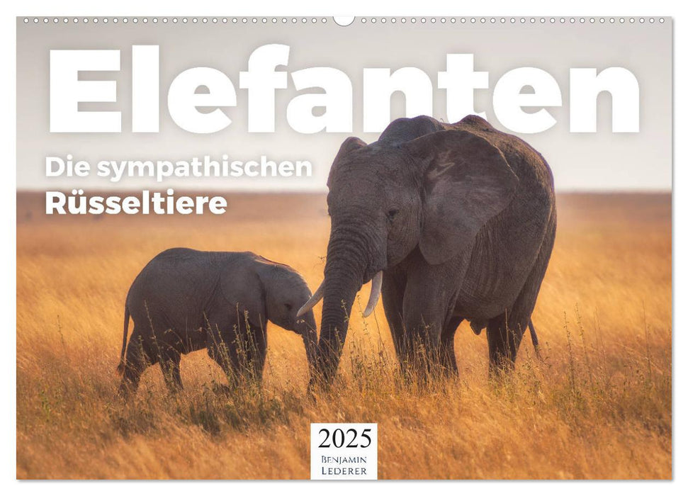 Elefanten - Die sympathischen Rüsseltiere (CALVENDO Wandkalender 2025)