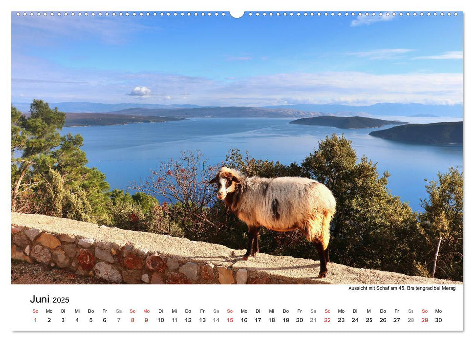 Kroatiens Inselzauber, Cres (CALVENDO Premium Wandkalender 2025)