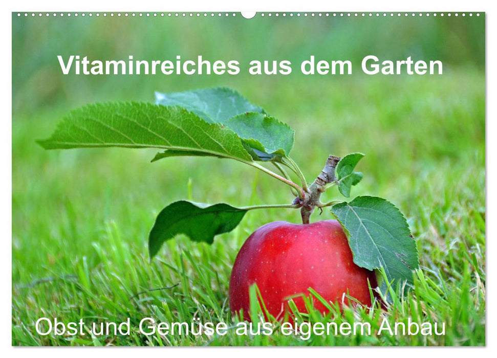 Vitaminreiches aus dem Garten (CALVENDO Wandkalender 2025)