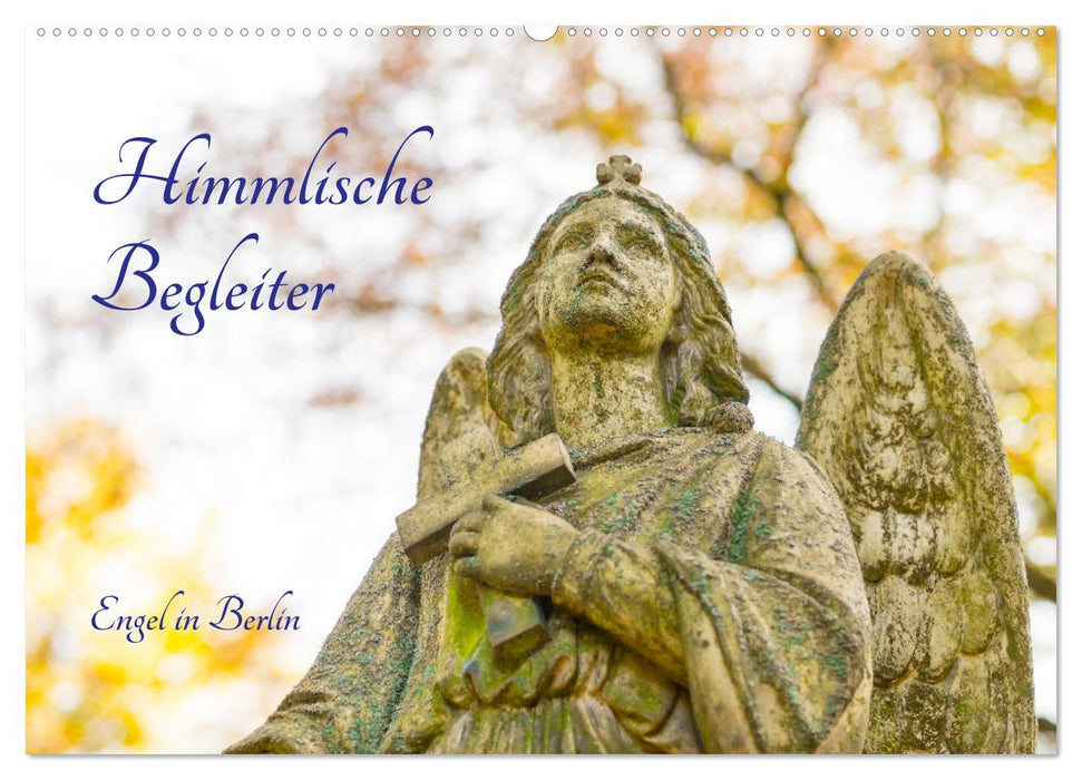 Himmlische Begleiter (CALVENDO Wandkalender 2025)