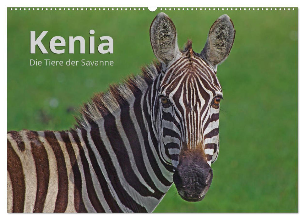 Kenia - Die Tiere der Savanne (CALVENDO Wandkalender 2025)