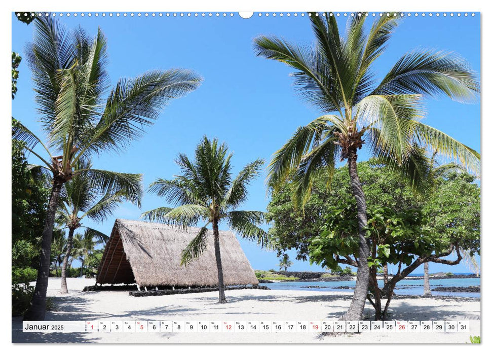 Hawaii the Aloha State (CALVENDO Wandkalender 2025)