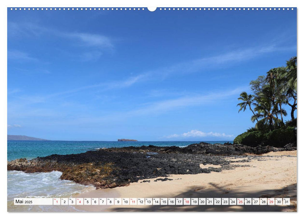 Hawaii the Aloha State (CALVENDO Wandkalender 2025)