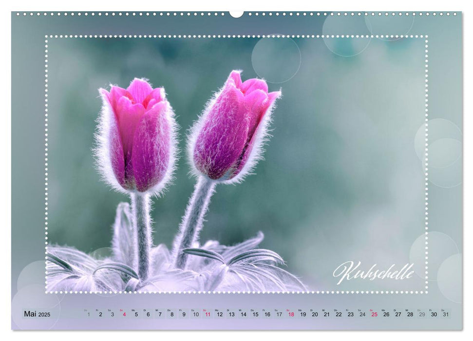 Blütenbouquet (CALVENDO Premium Wandkalender 2025)