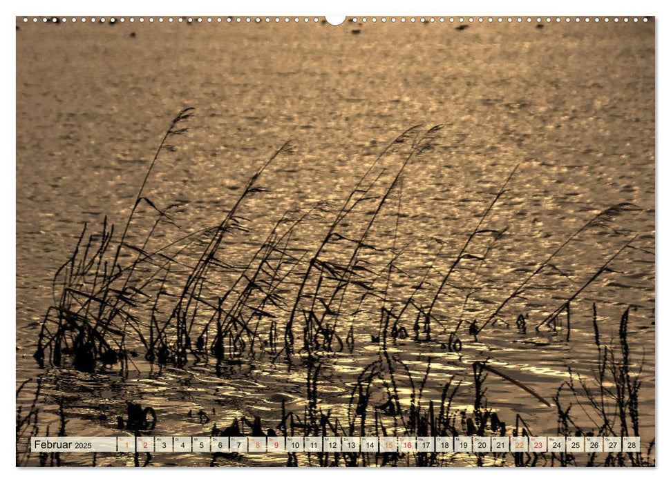 Landschaft an der Wümme (CALVENDO Premium Wandkalender 2025)