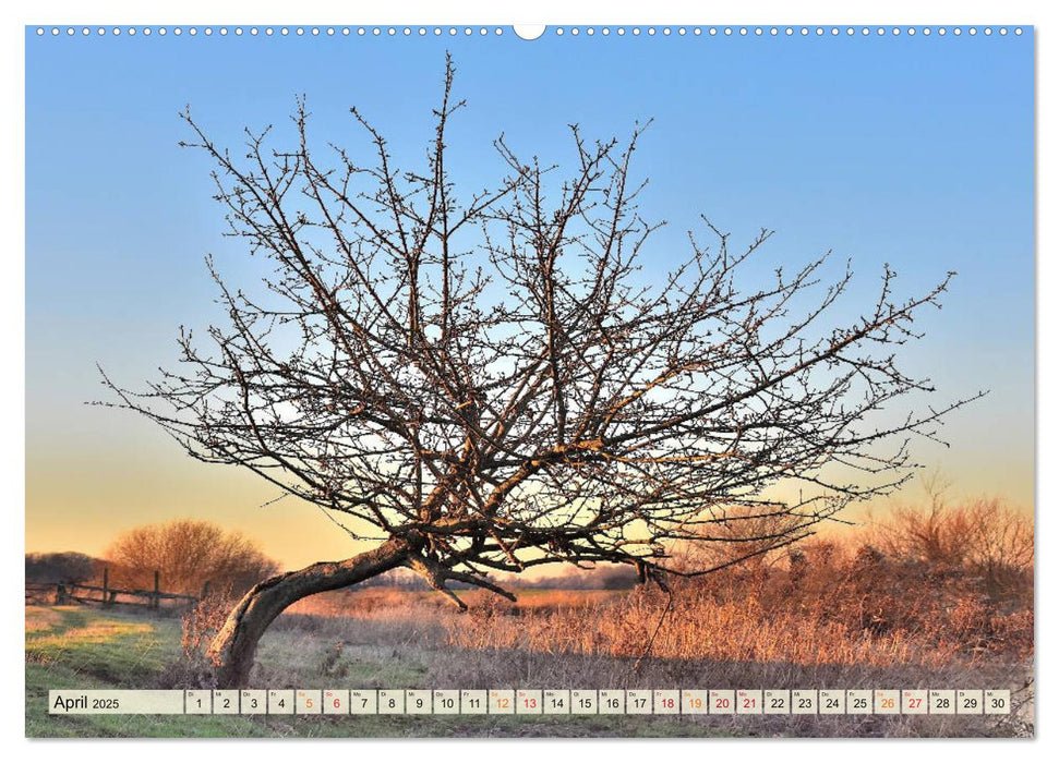 Landschaft an der Wümme (CALVENDO Premium Wandkalender 2025)