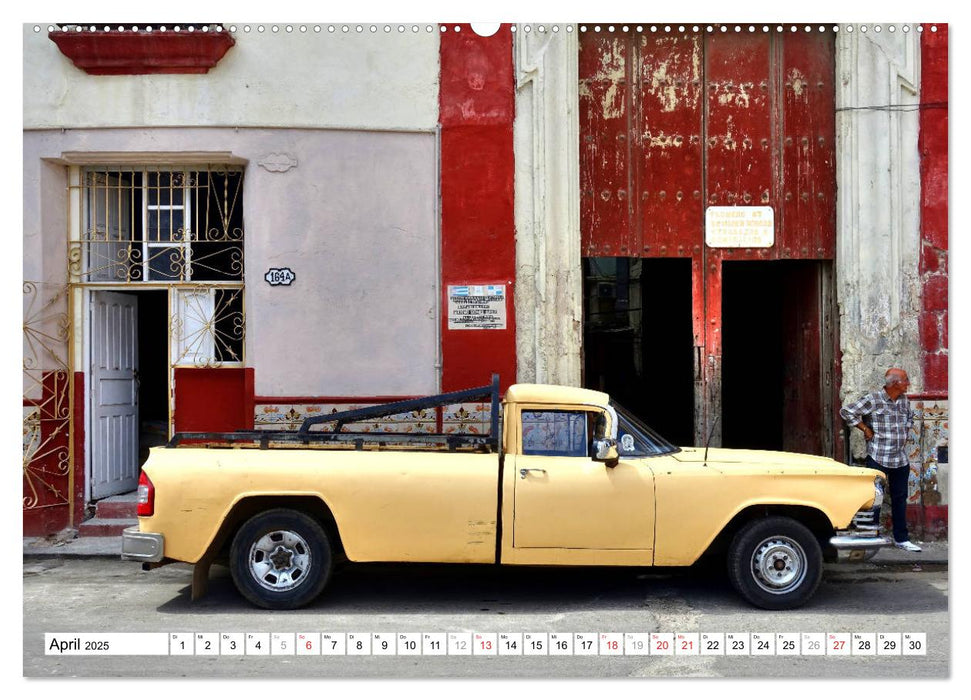 Buick Pickups - US-Lastenesel in Kuba (CALVENDO Wandkalender 2025)