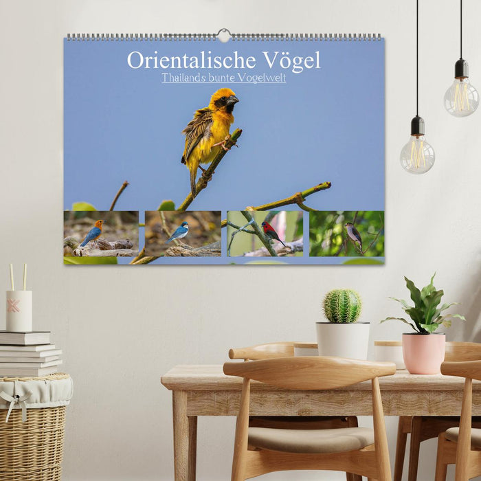 Orientalische Vögel - Thailands bunte Vogelwelt (CALVENDO Wandkalender 2025)