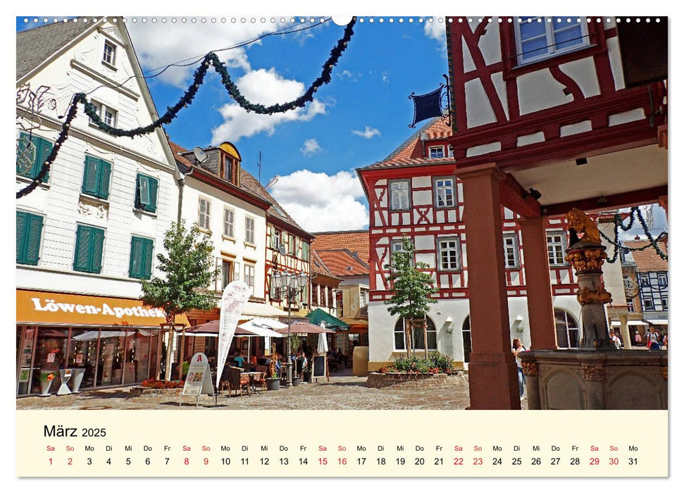 Schönes Alzey - Fachwerk, Wein und Rossmarktplatz (CALVENDO Wandkalender 2025)