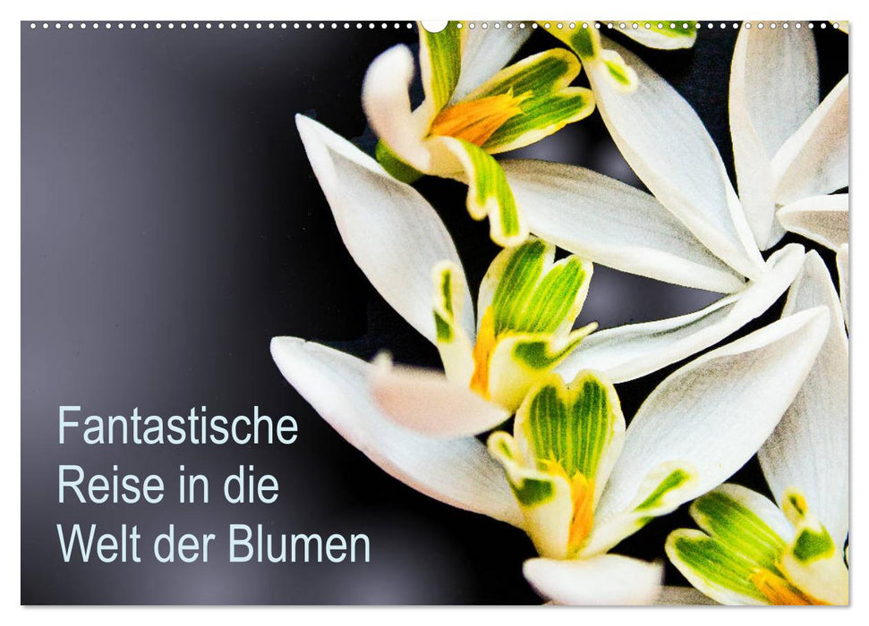 Fantastische Reise in die Welt der Blumen (CALVENDO Wandkalender 2025)