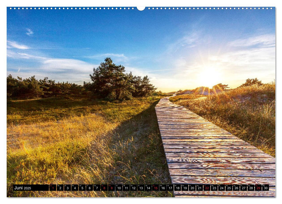 Fischland Darß - Land zwischen Bodden und Ostsee (CALVENDO Premium Wandkalender 2025)