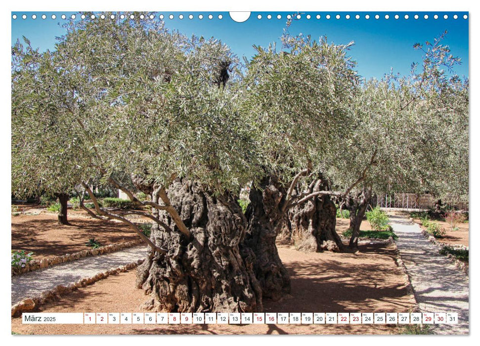 Biblische Orte in Israel mit Bibelstellen (CALVENDO Wandkalender 2025)