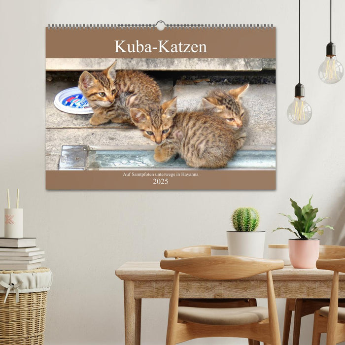 Kuba-Katzen - Auf Samtpfoten unterwegs in Havanna (CALVENDO Wandkalender 2025)