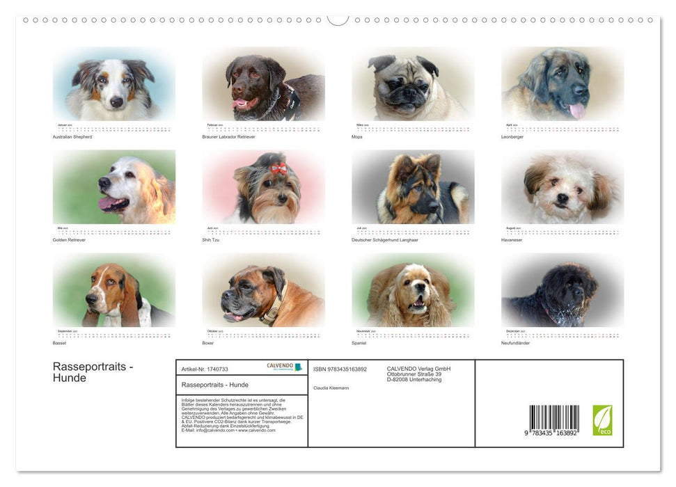 Rasseportraits - Hunde (CALVENDO Premium Wandkalender 2025)