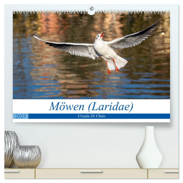 Möwen (Laridae) (CALVENDO Premium Wandkalender 2025)