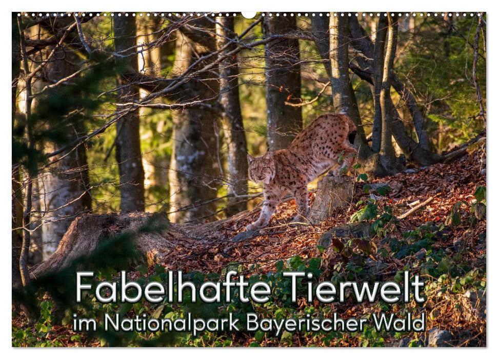 Fabelhafte Tierwelt im Nationalpark Bayerischer Wald (CALVENDO Wandkalender 2025)