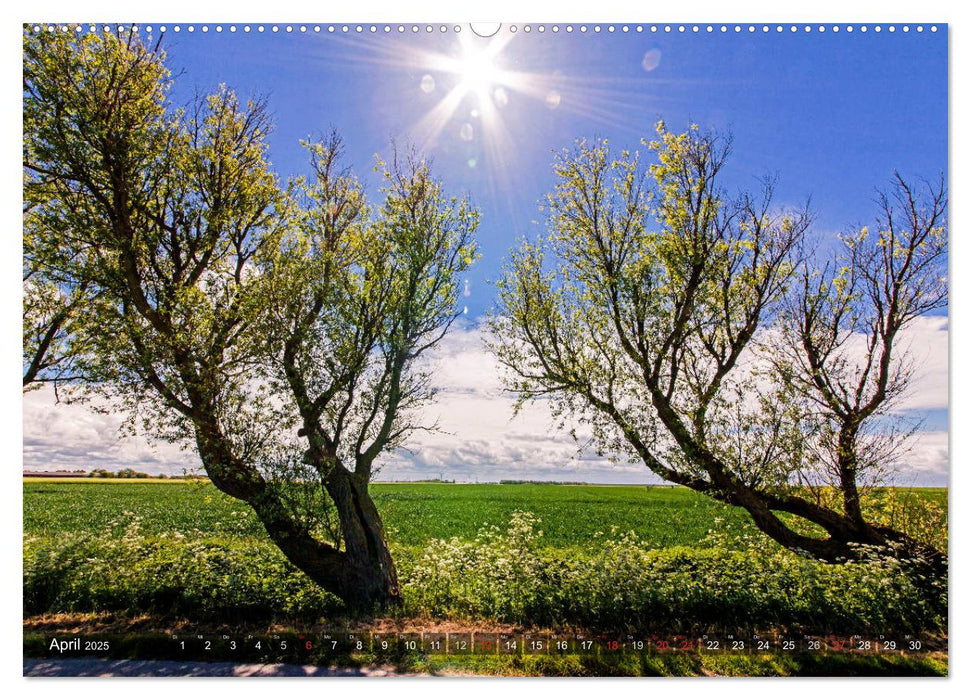 OSTFRIESLAND-LIEBE (CALVENDO Premium Wandkalender 2025)