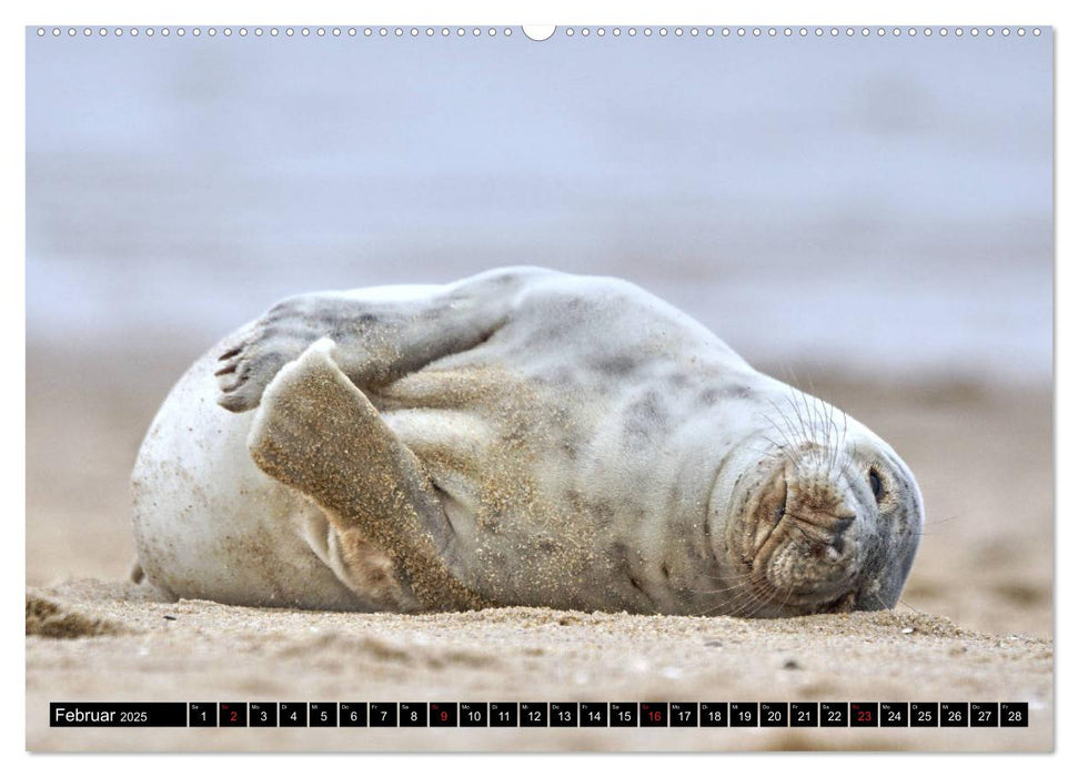 Sylt ist Meer (CALVENDO Premium Wandkalender 2025)