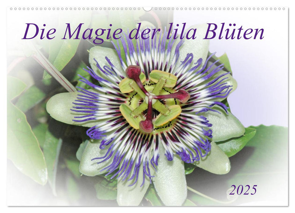 Die Magie der lila Blüten (CALVENDO Wandkalender 2025)