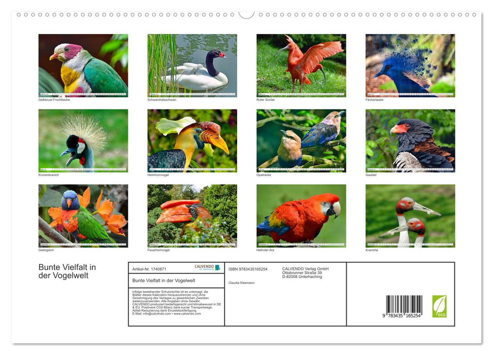 Bunte Vielfalt in der Vogelwelt (CALVENDO Premium Wandkalender 2025)