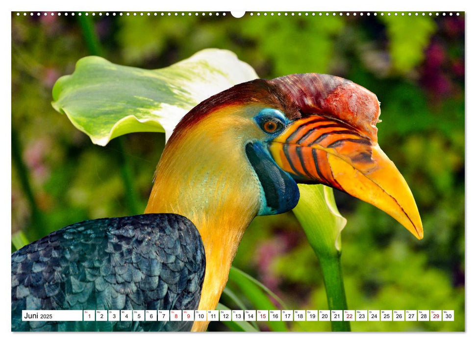 Bunte Vielfalt in der Vogelwelt (CALVENDO Premium Wandkalender 2025)