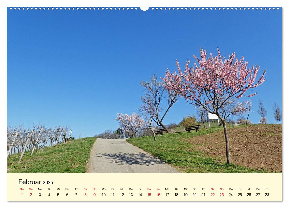 Willkommen in Bensheim an der Bergstraße (CALVENDO Premium Wandkalender 2025)