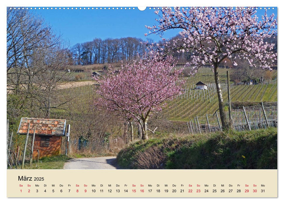 Entlang der Bergstraße Burgen, Wein und Fachwerk (CALVENDO Premium Wandkalender 2025)