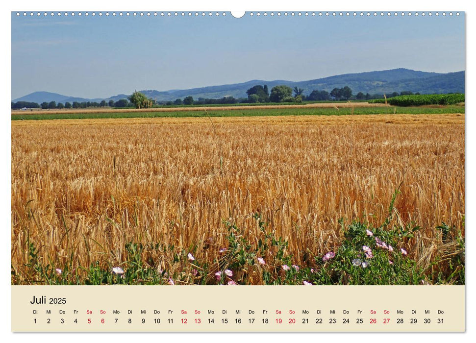 Entlang der Bergstraße Burgen, Wein und Fachwerk (CALVENDO Premium Wandkalender 2025)