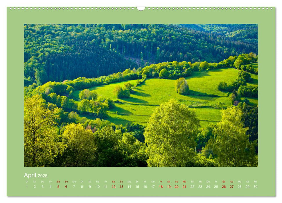 Rhön 2025 Die grüne Idylle (CALVENDO Wandkalender 2025)