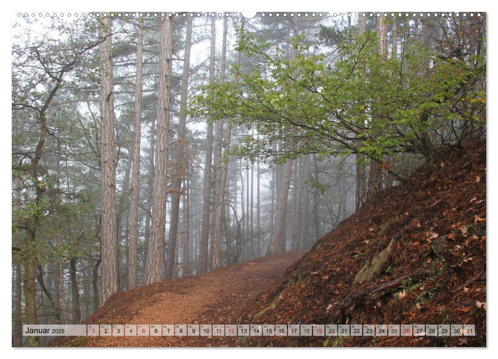 Herbstliches Bad Kreuznach an der Nahe (CALVENDO Premium Wandkalender 2025)