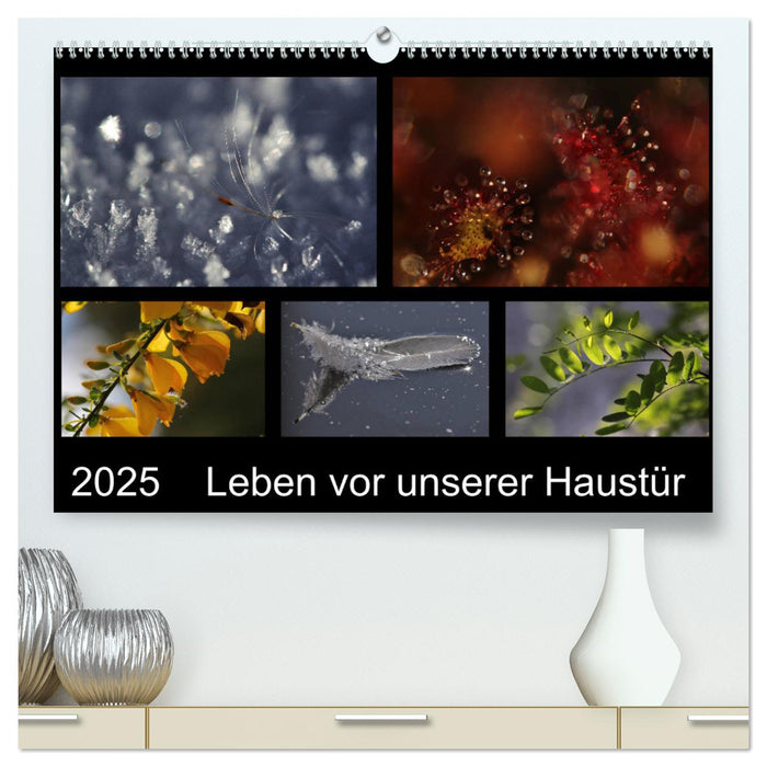 Leben vor unserer Haustür (CALVENDO Premium Wandkalender 2025)