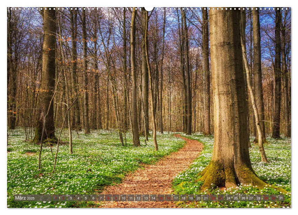 Wege zur Entspannung 2025 (CALVENDO Premium Wandkalender 2025)