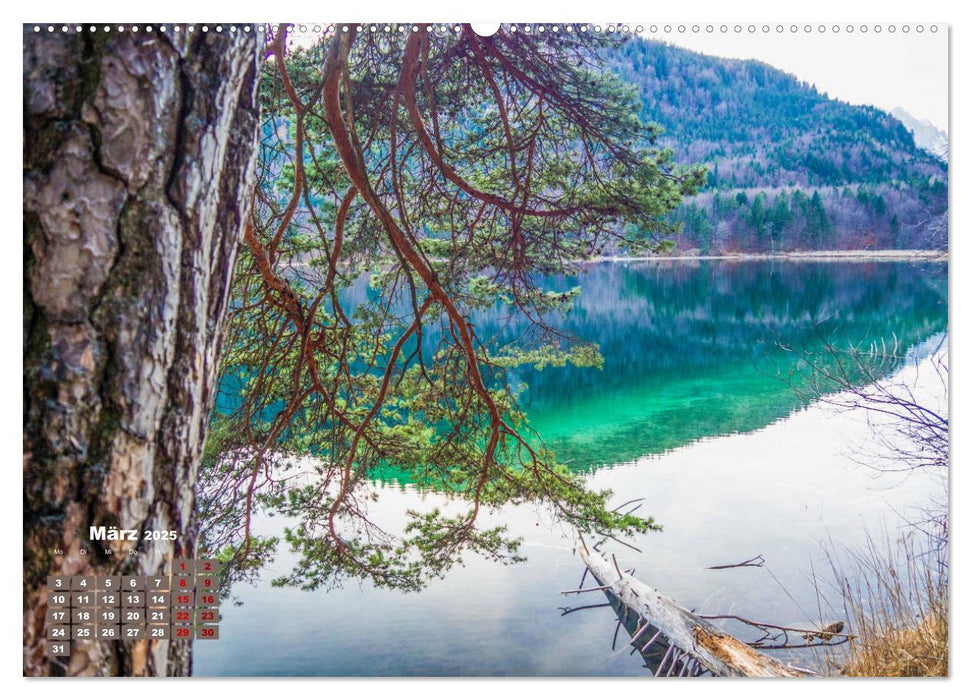 Der Alpsee im schönen Allgäu (CALVENDO Premium Wandkalender 2025)