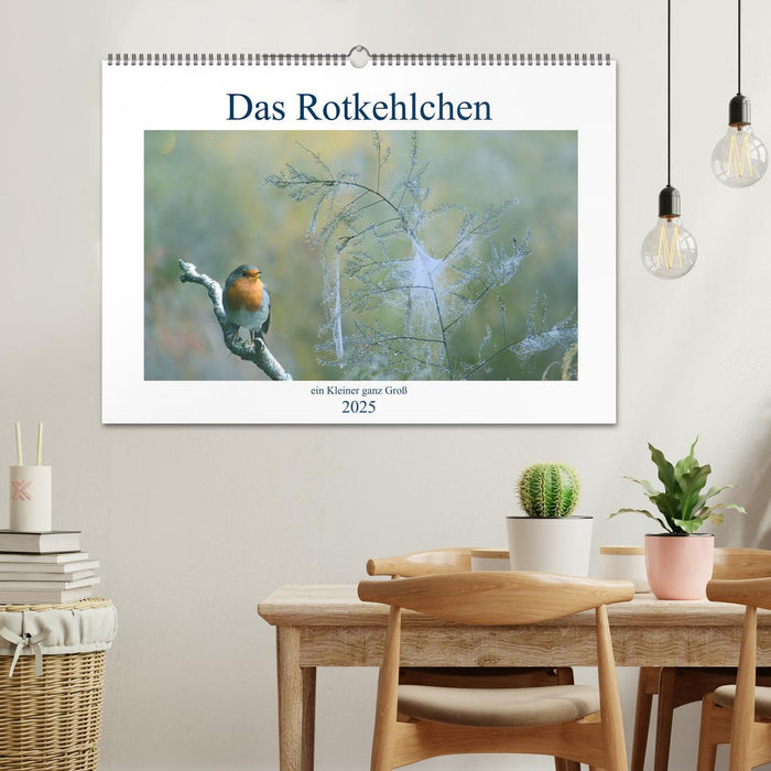 Das Rotkehlchen, ein Kleiner ganz Groß (CALVENDO Wandkalender 2025)