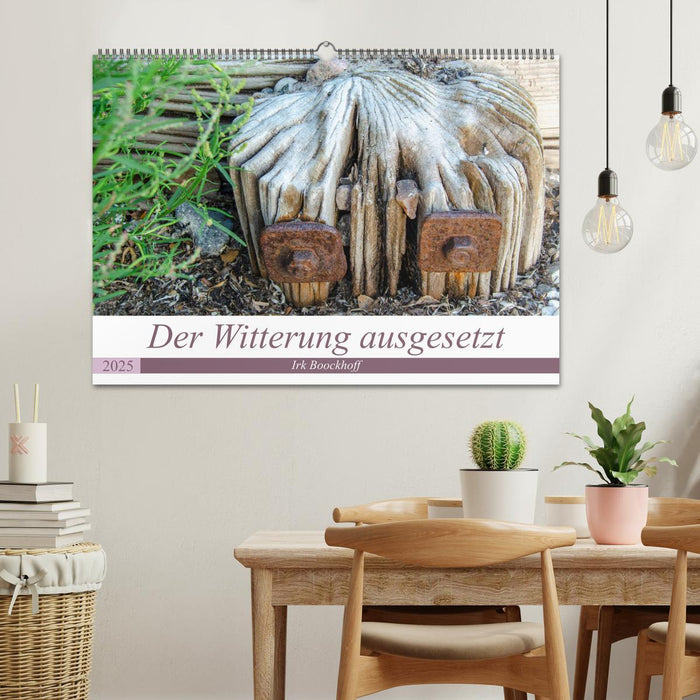 Der Witterung ausgesetzt (CALVENDO Wandkalender 2025)