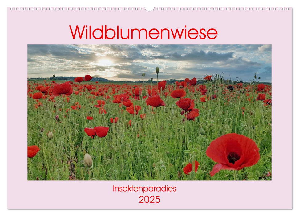 Wildblumenwiese Insektenparadies (CALVENDO Wandkalender 2025)